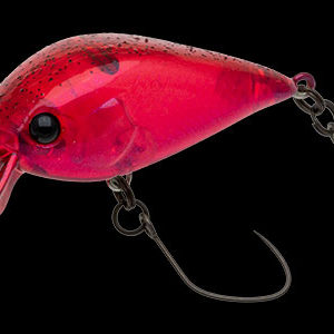 nories-meet-33-dr-f-321