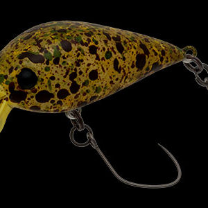 nories-meet-33-dr-f-343m