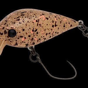 nories-meet-33-dr-f-373m