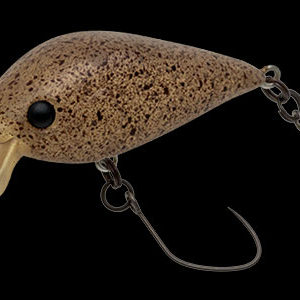 nories-meet-33-dr-f-379m