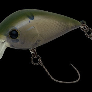 nories-meet-33-dr-f-386m