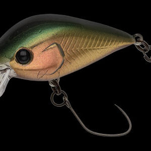 nories-meet-33-dr-f-402m