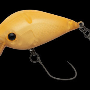 nories-meet-33-dr-f-406m