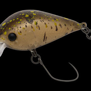 nories-meet-33-dr-f-407m