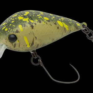 nories-meet-33-dr-f-408m