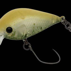 nories-meet-33-dr-f-409m