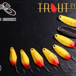 nories-tulle-1-8g-it09