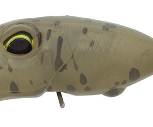 valkein-riola-c223-superb-bean