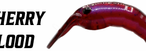 herakles-moth-28-fl-cherry-blood