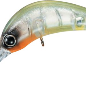 daiwa-masuno-imomushi-clear-chart