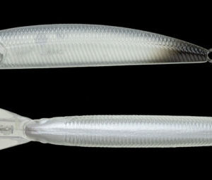 nories-pelican-minnow-50f-427