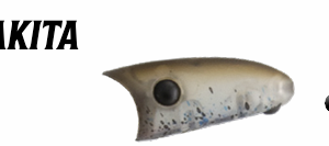 herakles-kiro-27-akita