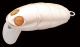 nories-crankin-pupa-113-hotate-pearl
