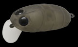 nories-crankin-pupa-125m-shadow
