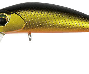 valkein-kuga-ww-ss-c070