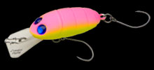 nories-crankin-pupa-45m-pressure-impact