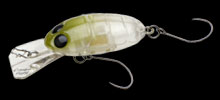 nories-crankin-pupa-111-gray-olive