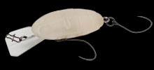 nories-crankin-pupa-316-ghost-cream