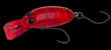 nories-crankin-pupa-321