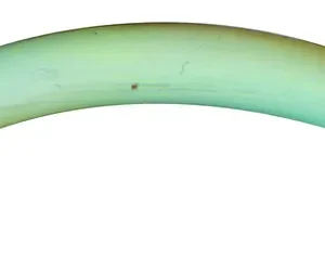 naburaya-nabucra-f-no-06-chibiru