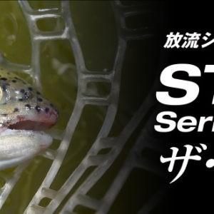 OFFICE EUCALYPTUS STRINA AL