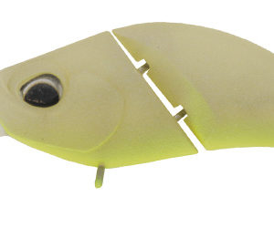 valkein-kuga-hydra-f-m239-white-peach-chart-belly