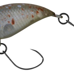 daiwa-presso-wabcra-jr-25f-sr-splash-olive-pearl