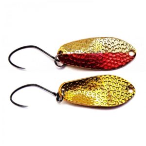 antem-dohna-2-5gr-col-01