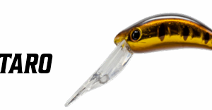 herakles-aleca-sp-aitaro