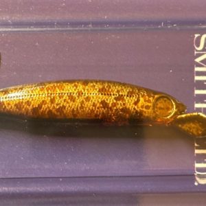 rodio-still-area-t2-by-smith-ltd-09