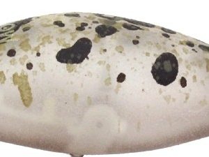 rodio-fat-moca-jr-dr-f-col-23-2015