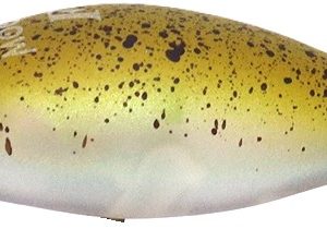 rodio-fat-moca-jr-sr-f-col-33