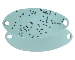 valkein-black-blast-1-3g-77-ice-blue