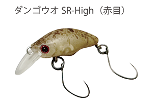 SMITH DANGUO SR HIGH