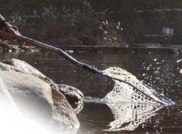DAYSPROUT Long Landing Net