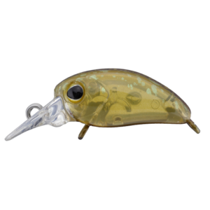 timon-micro-panicra-mr-f-rattle-daigo-bean